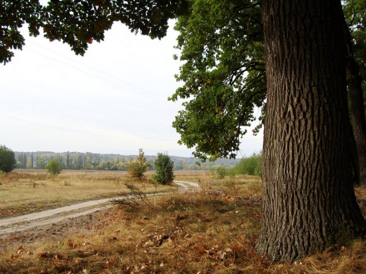 Коженики з panoramio.com - Коженики