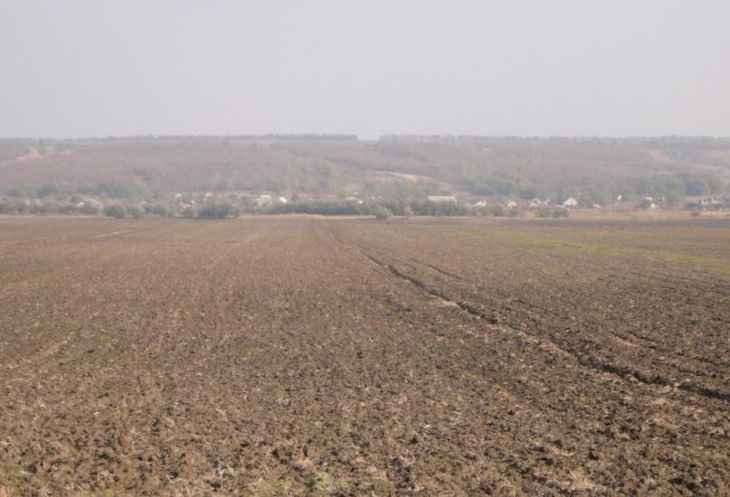 Конопляне з panoramio.com - Конопляне