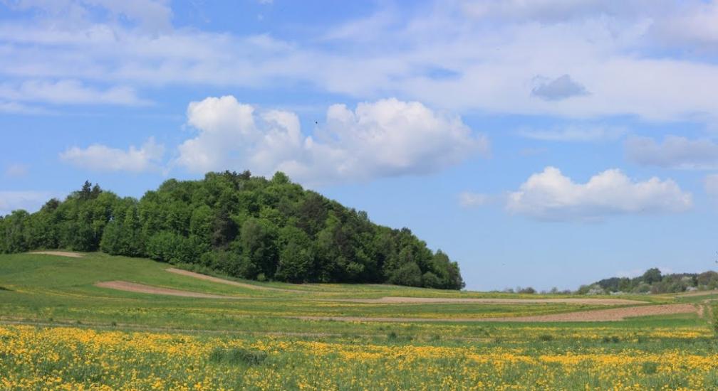 Лозино з panoramio.com - Лозино