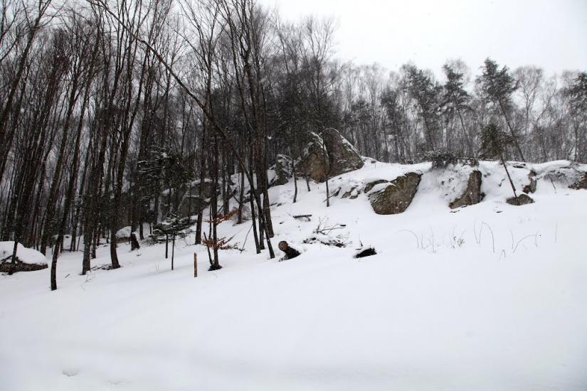 Орів з panoramio.com - Орів