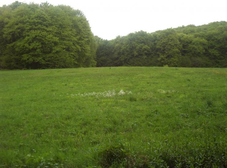 Добринівці з panoramio.com - Добринівці