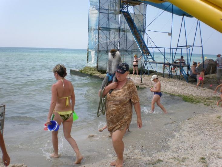 Лазурне з panoramio.com - Лазурное
