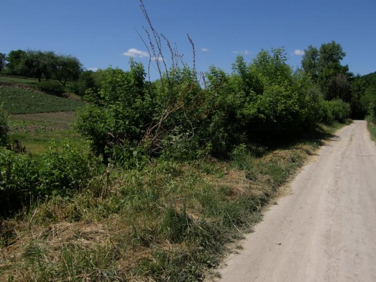 Новосілки з panoramio.com - Новосілки