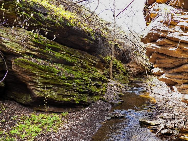 Ольховатка з panoramio.com - Ольховатка