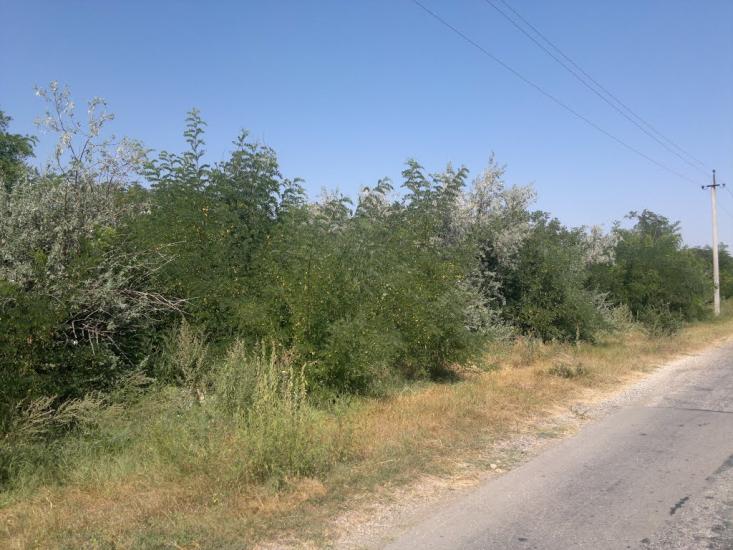 Владиславівка з panoramio.com - Владиславівка