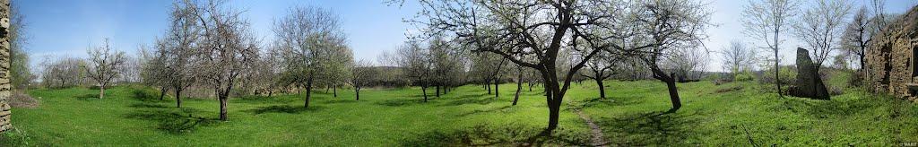 Чернелиця з panoramio.com - Чернелица