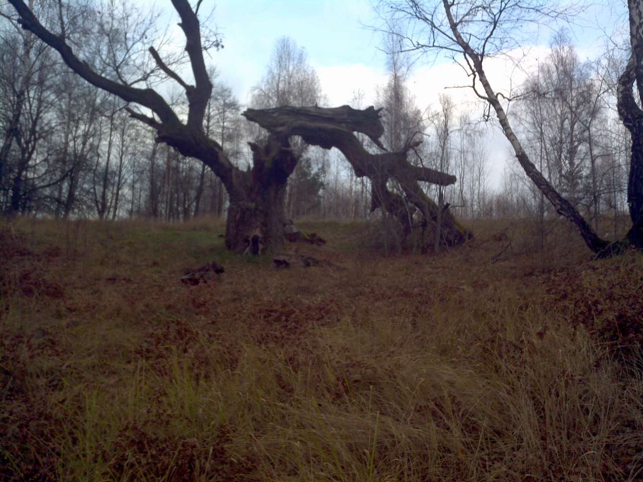 Городище - Городец