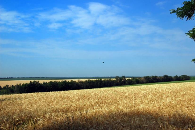 Булгаківка з panoramio.com - Булгаковка