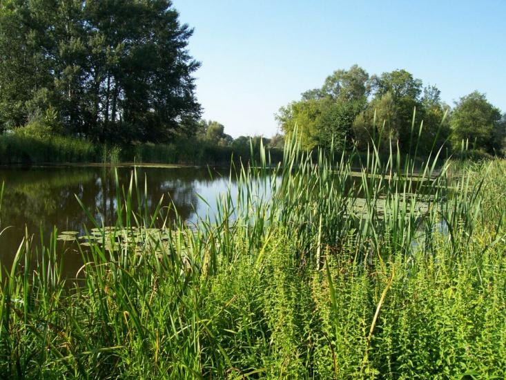 Вельбівка з panoramio.com - Вельбівка