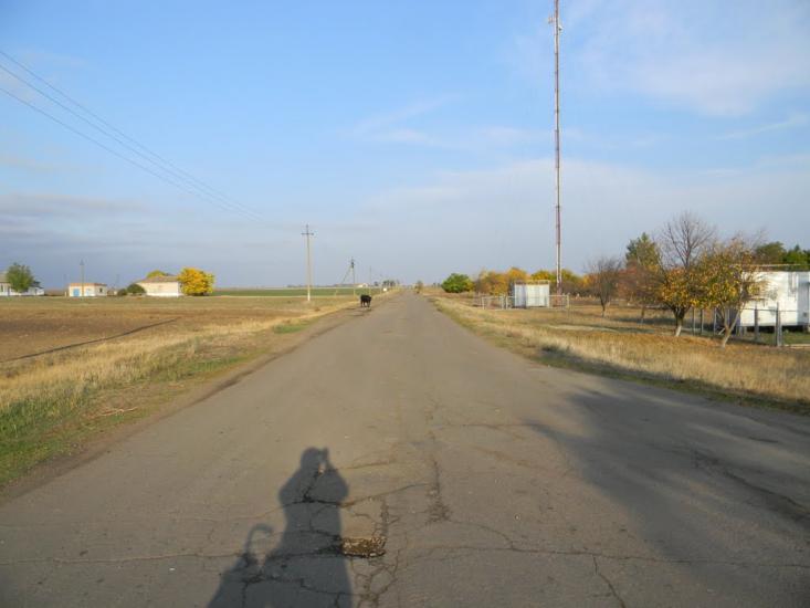 Нижні Торгаї з panoramio.com - Нижні Торгаї