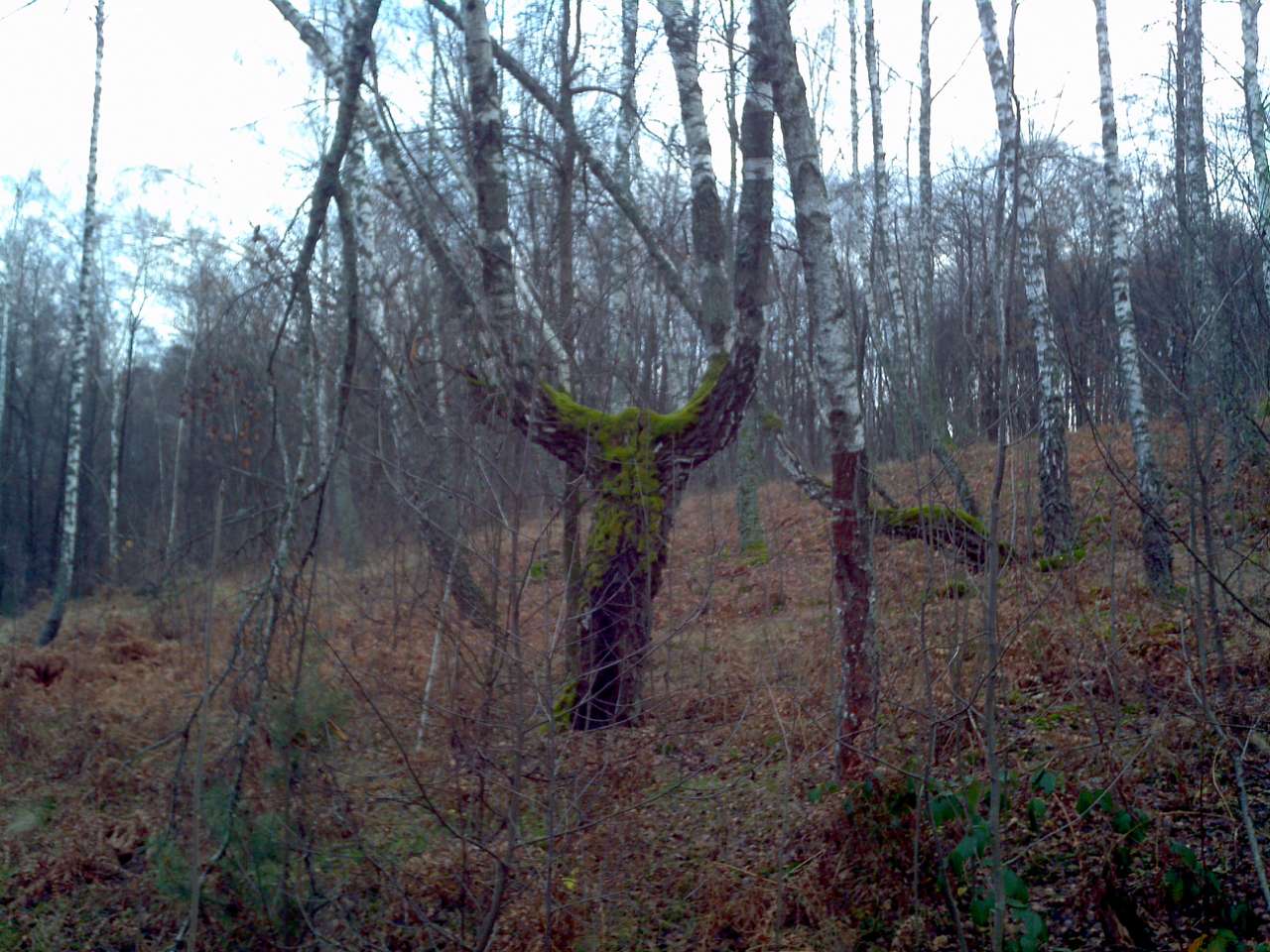 Городище - Городец