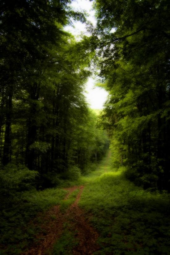 Гута з panoramio.com - Guta