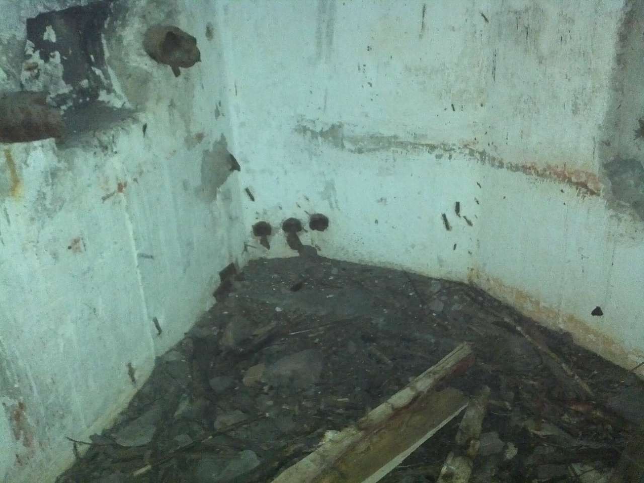 Коростенский укрепрайон - Тхорин