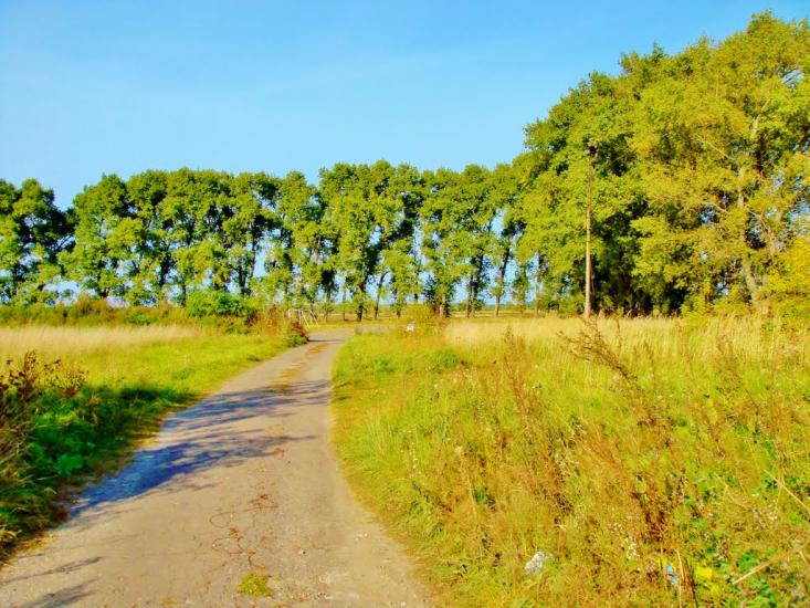 Димер з panoramio.com - Dymer