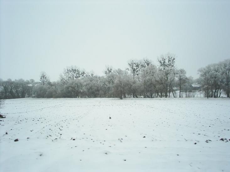 Теліжинці з panoramio.com - Теліжинці