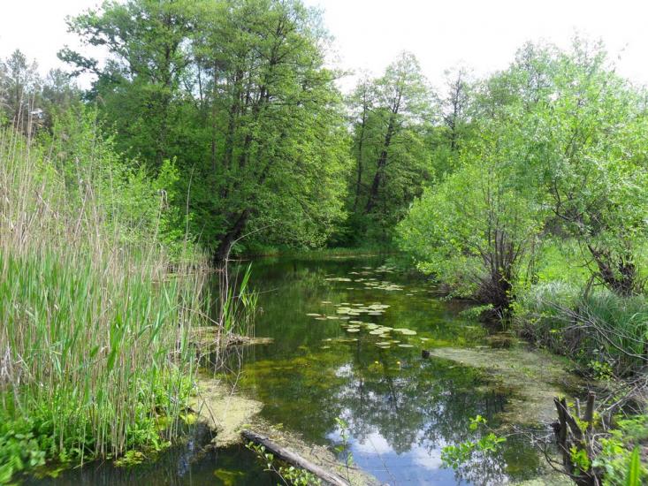 Стримівка з panoramio.com - Стримівка