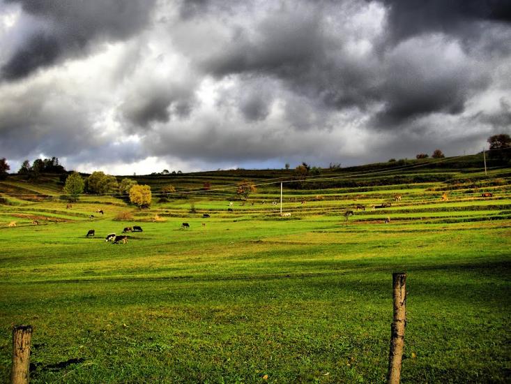 Люта з panoramio.com - Люта