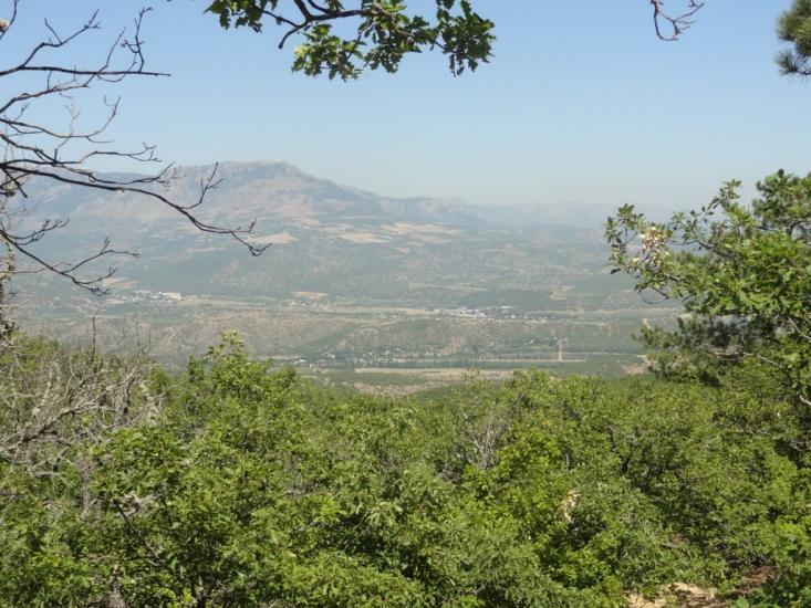 Виноградний з panoramio.com - Виноградний