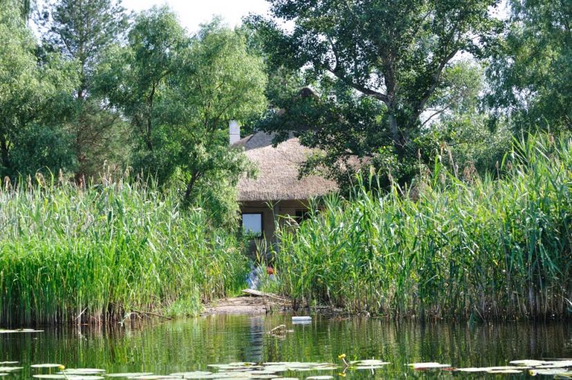 Сокирна з panoramio.com - Сокирна