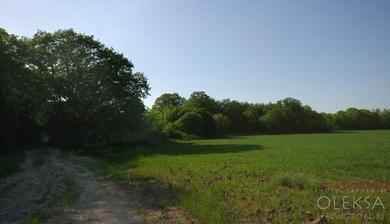 Верхньосадове з panoramio.com - Верхньосадове