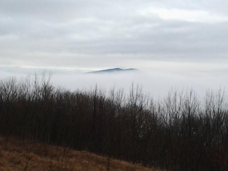 Земляничне з panoramio.com - Земляничное