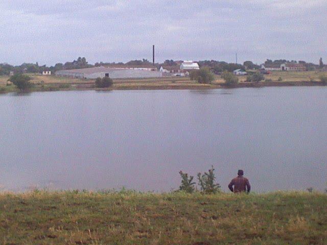 Куйбишеве з panoramio.com - Куйбишеве