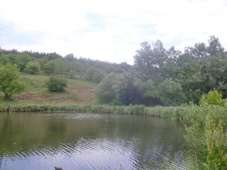 Бубнівка з panoramio.com - Бубновка