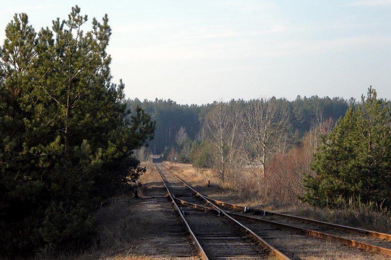 Десна з panoramio.com - Десна