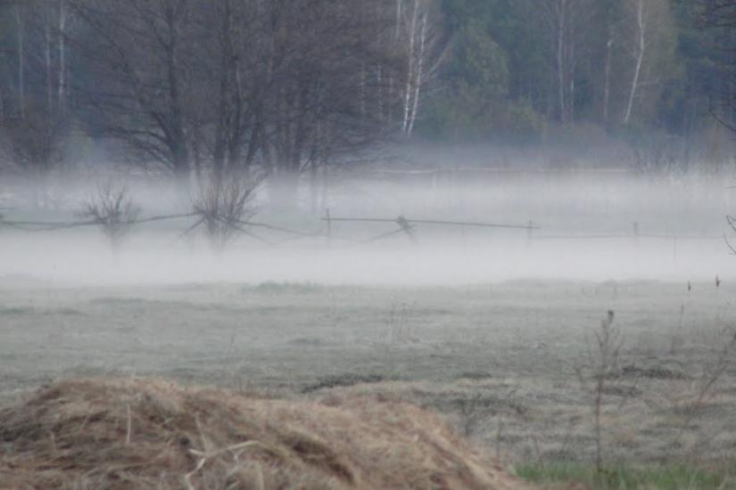 Градиськ з panoramio.com - Градиск