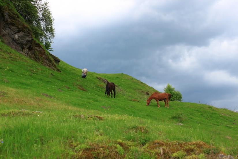 Маринин з panoramio.com - Маринин