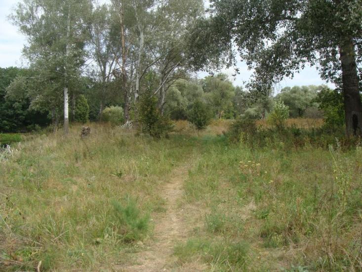 Балаклія з panoramio.com - Балаклея