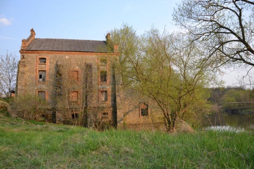 Вільха з panoramio.com - Вільха