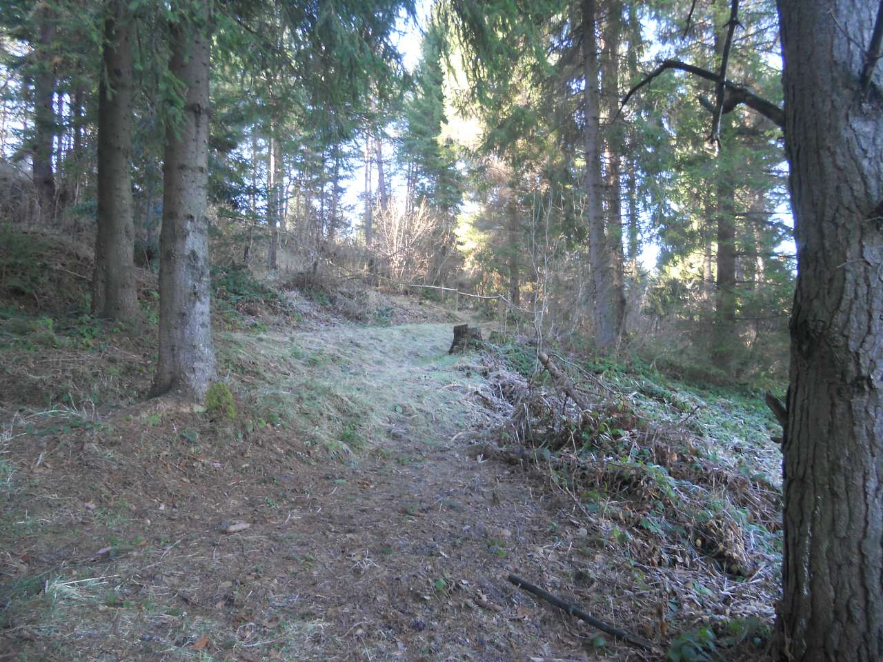 природа - Опака