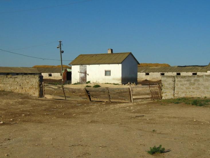 Новоозерне з panoramio.com - Новоозерне
