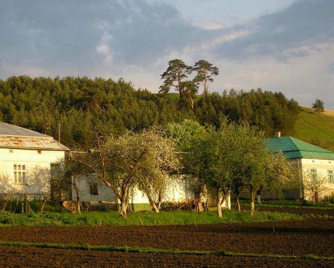 Добринів з panoramio.com - Добринев