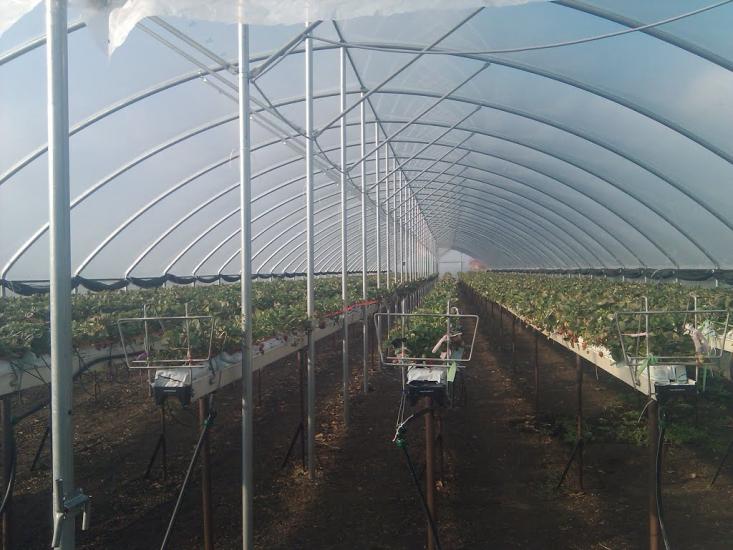Руська Лозова з panoramio.com - Ruska Lozova