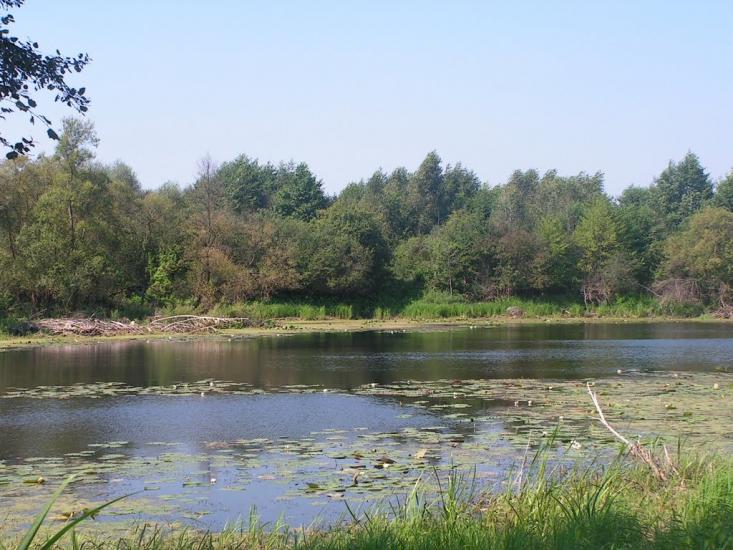 Забужжя з panoramio.com - Забужье