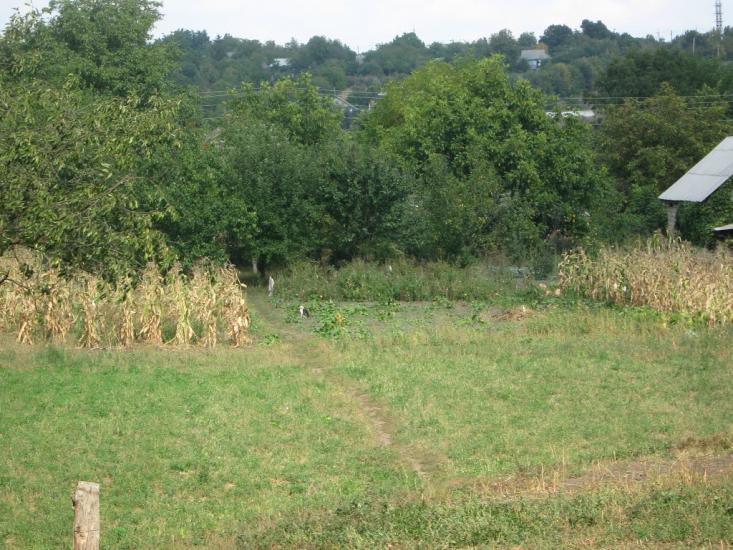 Чорномин з panoramio.com - Чорномин