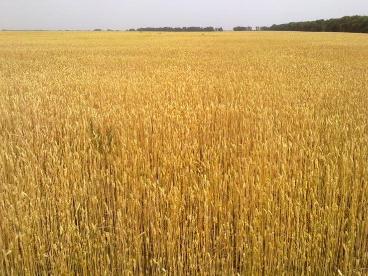 Заїзд з panoramio.com - Заїзд