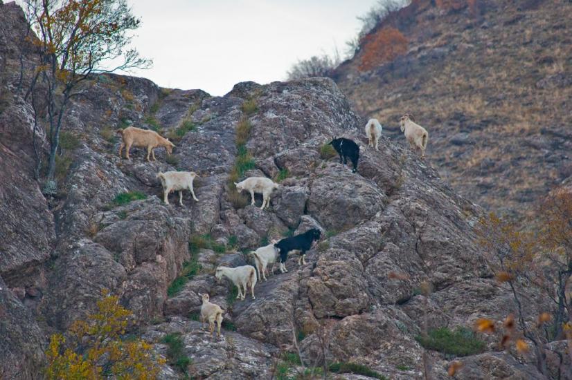 Громівка з panoramio.com - Громівка