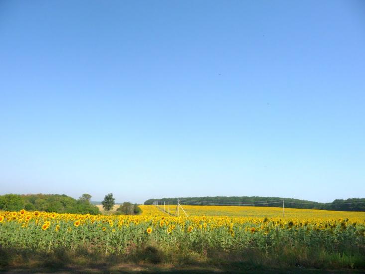 Хорошеве з panoramio.com - Хорошеве