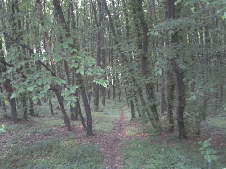Обухів з panoramio.com - Обухов