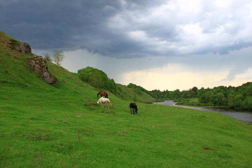 Маринин з panoramio.com - Маринин