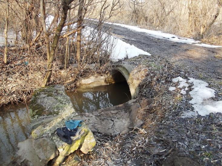 Романівка з panoramio.com - Романівка