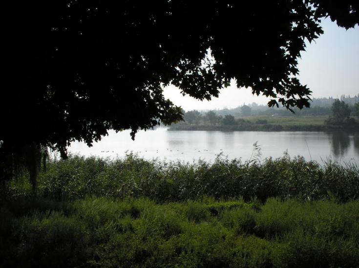 Смоліне з panoramio.com - Smoline