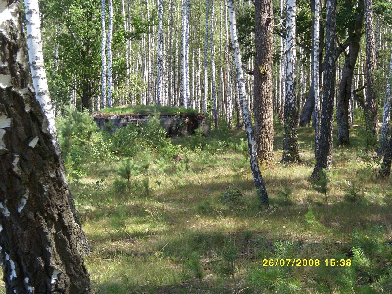 Коростенский укрепрайон - Тхорин