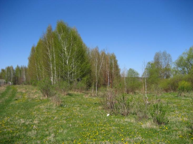 Липці з panoramio.com - Липцы