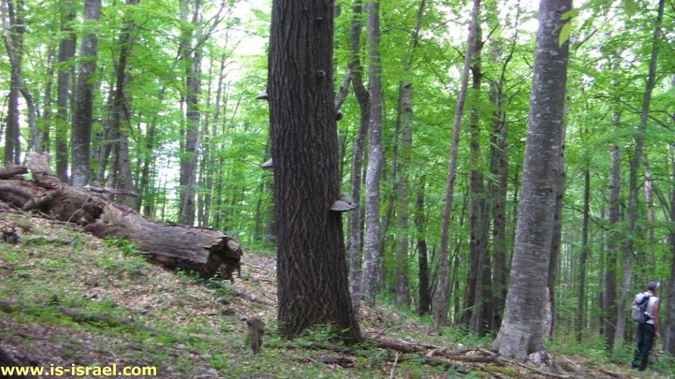 Многоріччя з panoramio.com - Многоречье