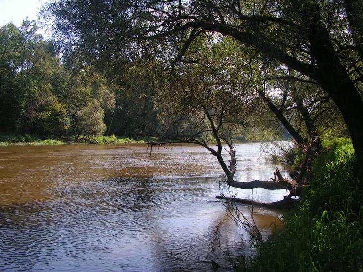Забужжя з panoramio.com - Забужье