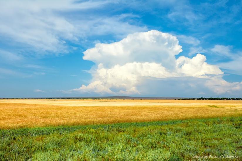 Октябрське з panoramio.com - Октябрське